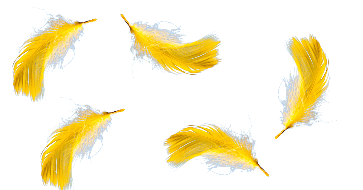 Finding Yellow Feathers meaning  (Spiritual & Biblical)