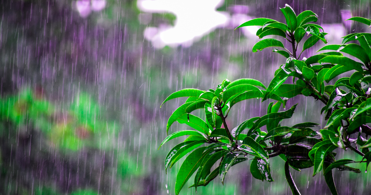 Unveiling the Mystical Significance of Rain: A Spiritual Perspective