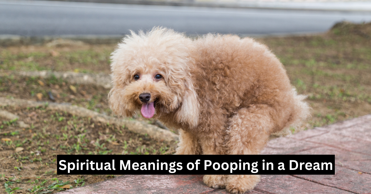 Spiritual Meanings of Pooping in a Dream